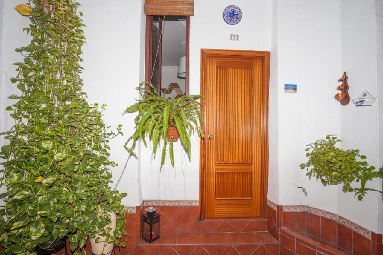 San Pancracio Pensión Sevilla